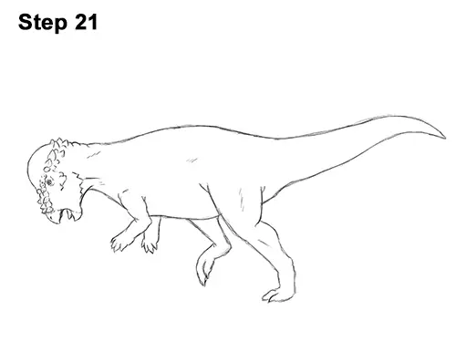 How to Draw a Pachycephalosaurus