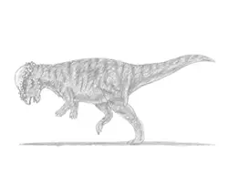 How to Draw a Pachycephalosaurus Dinosaur Charging