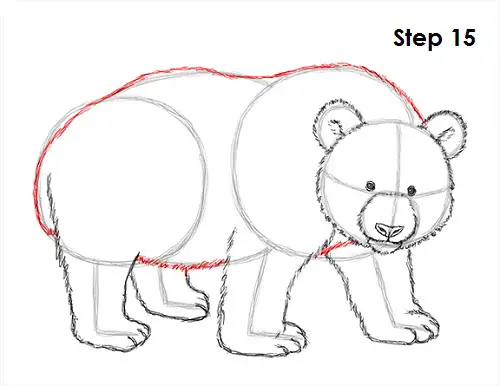 How to Draw a Panda