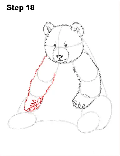 How to Draw Cute Giant Panda Bear Sitting 18