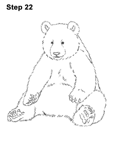 How to Draw Cute Giant Panda Bear Sitting 22