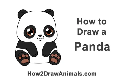 How to Draw a Panda Bear (Cartoon) VIDEO & Step-by-Step Pictures