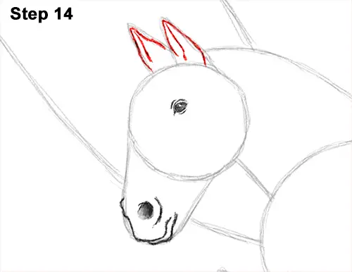 Draw Pegasus Horse Wings 14