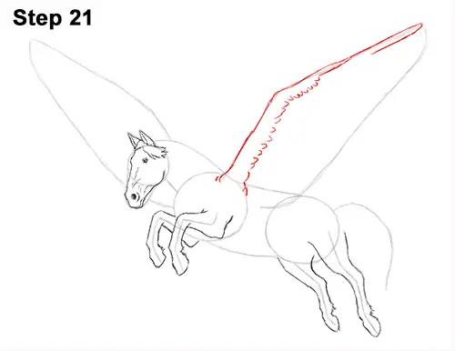 Draw Pegasus Horse Wings 21