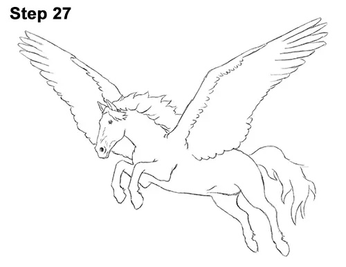 Draw Pegasus Horse Wings 27