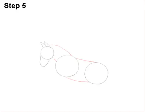 Draw Pegasus Horse Wings 5
