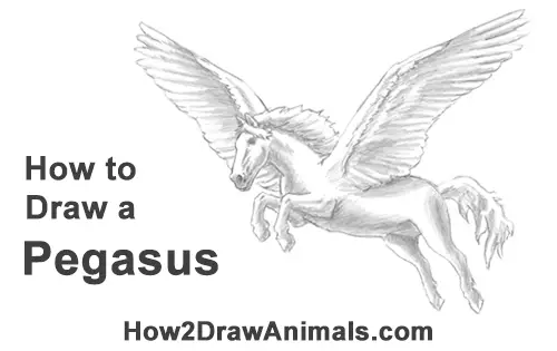 How To Draw A Pegasus