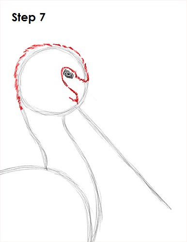 Pelican Drawing 7 Draw Pelican 7