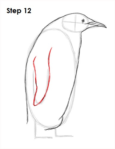 Penguin Drawing 12 Draw Penguin 12