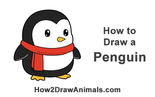 How To Draw A Penguin Cartoon Video Step By Step Pictures