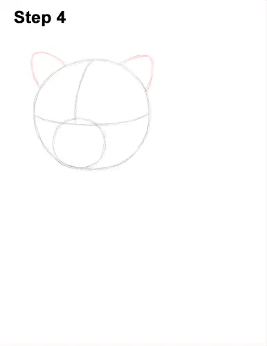 Draw Persian Kitty Cat 4