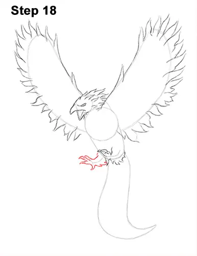 Draw Phoenix 18