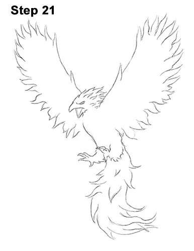 Draw Phoenix 21