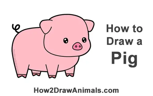 How to Draw Cute Cartoon Pig Chibi Kawaii
