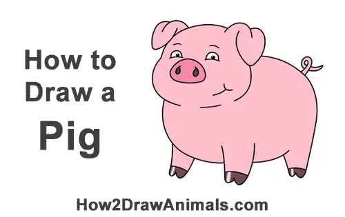How to Draw a Cute Little Mini Funny Cartoon Pig Piglet
