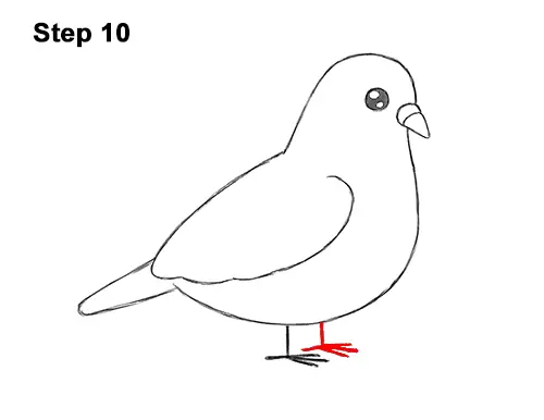 How to Draw Cute Cartoon Pigeon 10