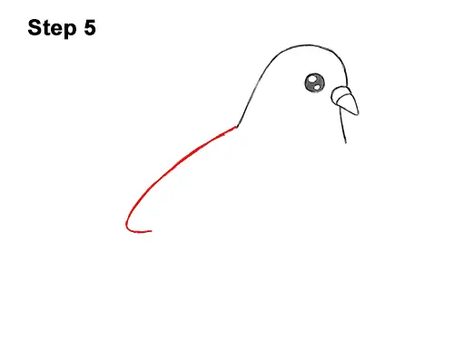 How to Draw Cute Cartoon Pigeon 5