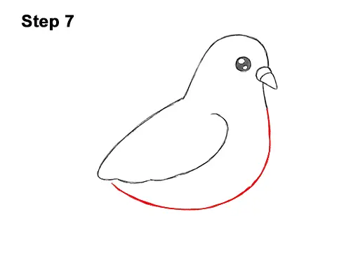 How to Draw Cute Cartoon Pigeon 7
