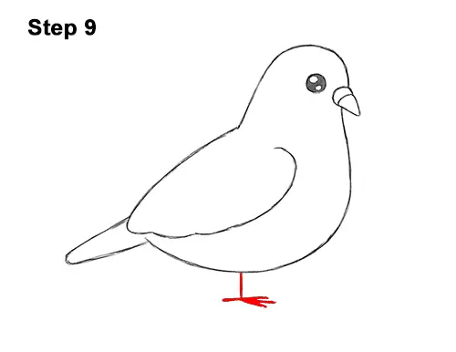 How to Draw Cute Cartoon Pigeon 9