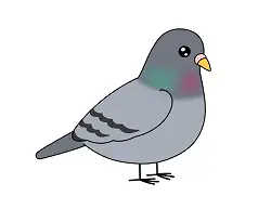 How to Draw a Cute Cartoon Pigeon Bird
