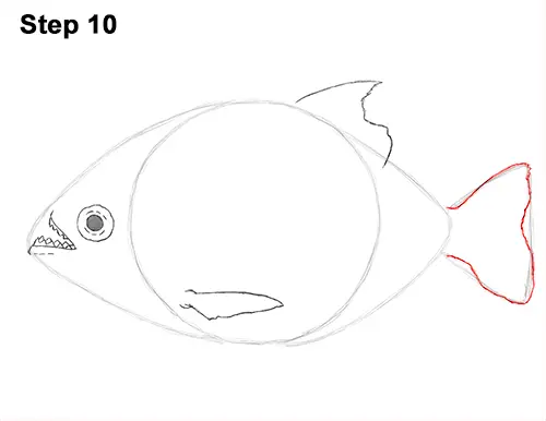 How to Draw a Piranha