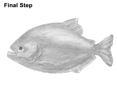 How to Draw a Piranha