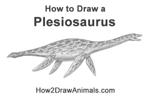 How to Draw a Plesiosaurus Marine Dinosaur