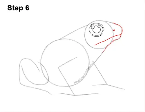 How to Draw a Frog (Poison Dart Frog) VIDEO & Step-by-Step Pictures