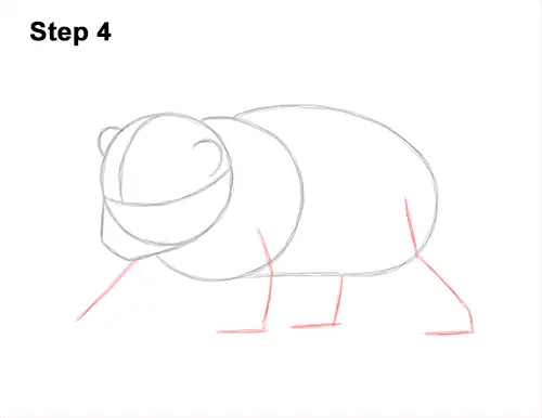 How to Draw a Cute Baby Polar Bear Cub 4