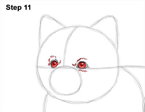 How to Draw a Cute Pomeranian Puppy Dog 11