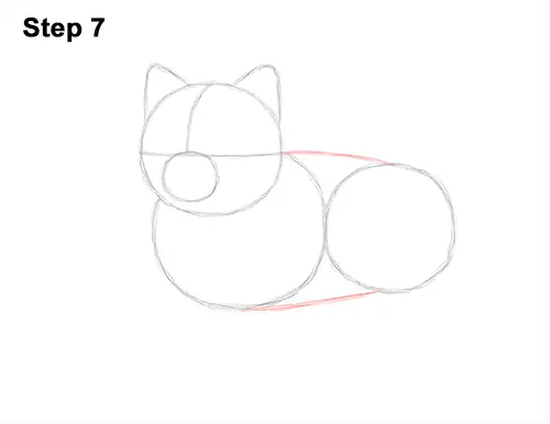 How to Draw a Cute Pomeranian Puppy Dog 7