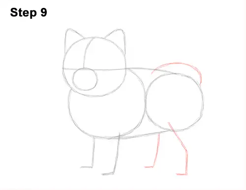 How to Draw a Cute Pomeranian Puppy Dog 9
