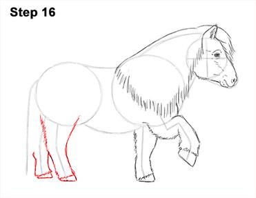 steps to draw ponies