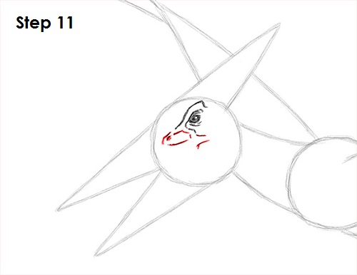 Draw Pteranodon Dinosaur 11