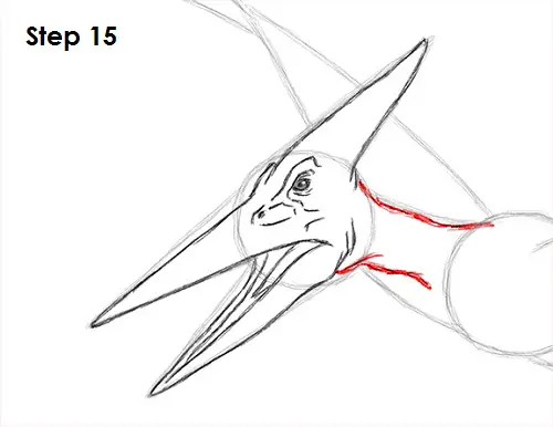 Draw Pteranodon Dinosaur 15