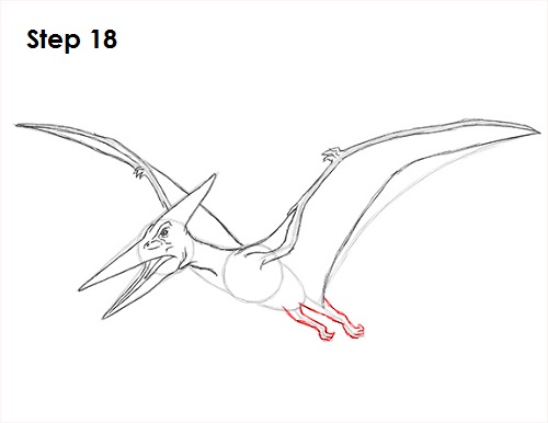 Draw Pteranodon Dinosaur 18