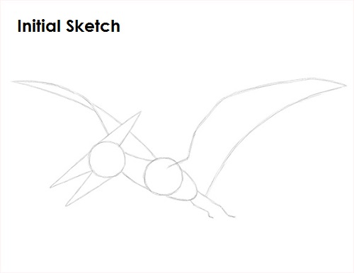 Draw Pteranodon Dinosaur Sketch
