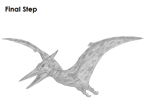 Draw Pteranodon Dinosaur Last
