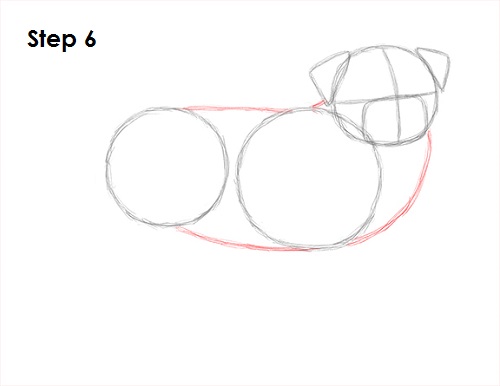 Draw Pug Drawing 6