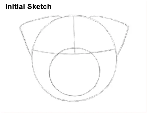 How To Draw A Pug Head Detail