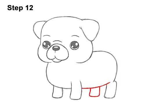How to Draw a Pug (Cartoon) VIDEO & Step-by-Step Pictures
