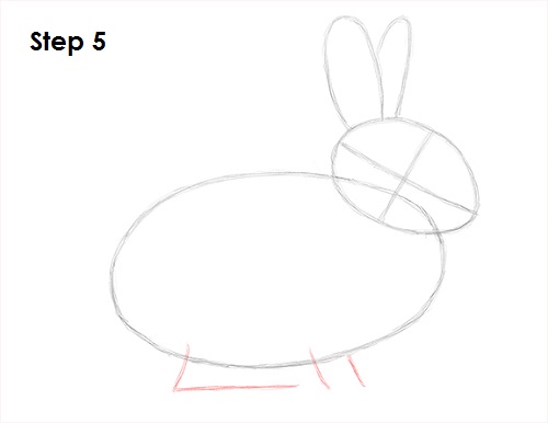 Draw Rabbit 5