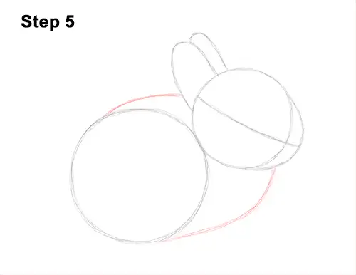 How to Draw a Cute Baby Bunny Rabbit 5