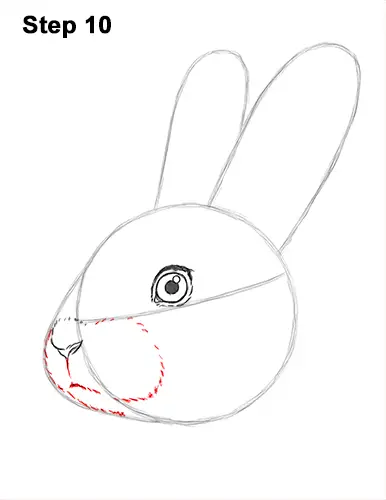 How To Draw A Cute Bunny Step By Step