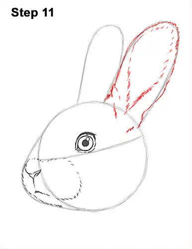 How to Draw Cute Bunny Rabbit Head Face Portrait 11