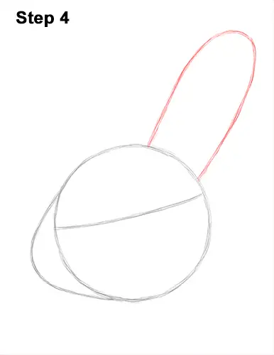 How To Draw A Rabbit Head Detail