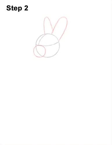 How to Draw a Cute Bunny Rabbit Standing Up 2