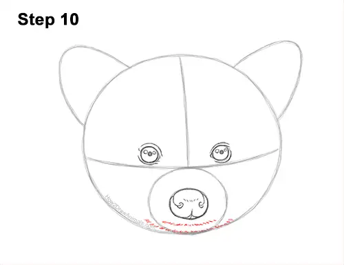 How to Draw a Raccoon Head Face Portrait 10