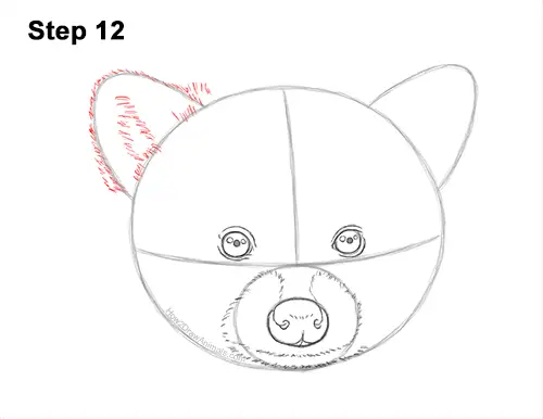 How to Draw a Raccoon Head Face Portrait 12