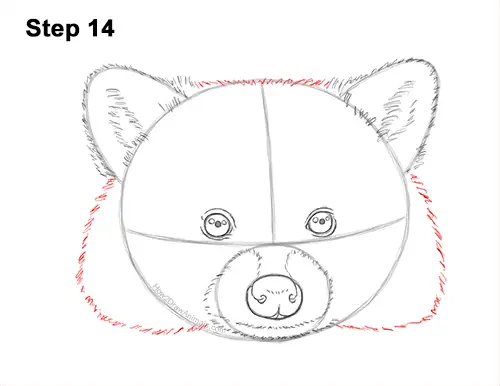 How to Draw a Raccoon Head Face Portrait 14